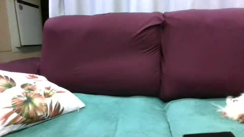 kelly online show from 28, 7, 2026