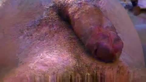 lb_38 online show from 4, 11, 2025