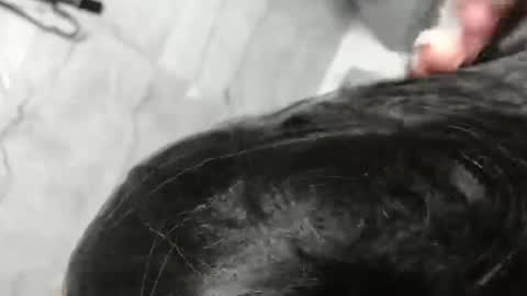 Marina Magician online show from 23, 3, 2026