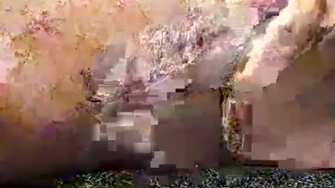 legofactory online show from 27, 1, 2025