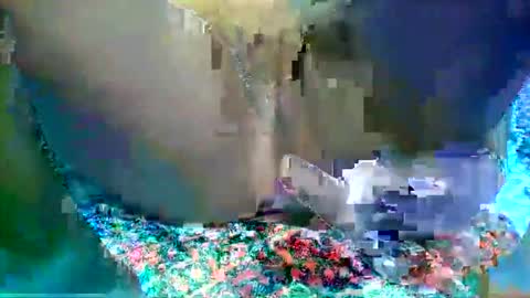 leilah_hope online show from 16, 2, 2026