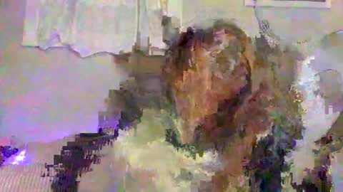 Jennifer online show from 5, 1, 2025