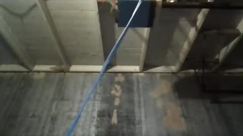 leo199984 online show from 9, 11, 2025