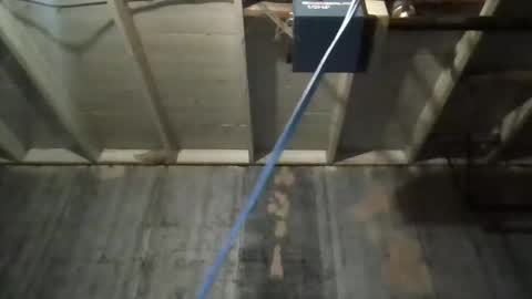 leo199984 online show from 25, 11, 2025