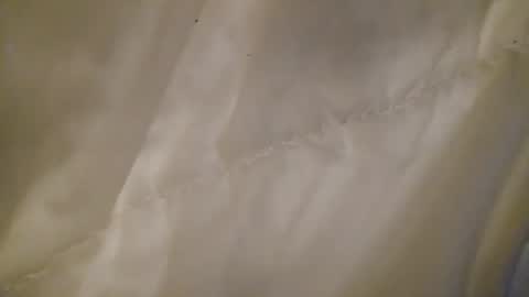 leojenks online show from 11, 2, 2026