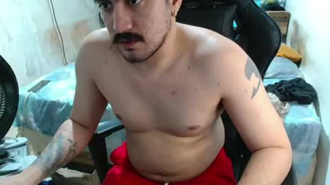 leonino231 online show from 24, 7, 2026