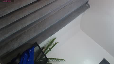 Trisha18 online show from 27, 1, 2025