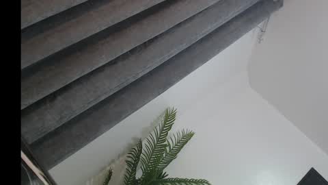 Trisha18 online show from 8, 2, 2025