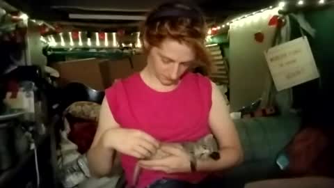 LesleyGumGrass- The Boring Trans girl online show from 16, 7, 2026