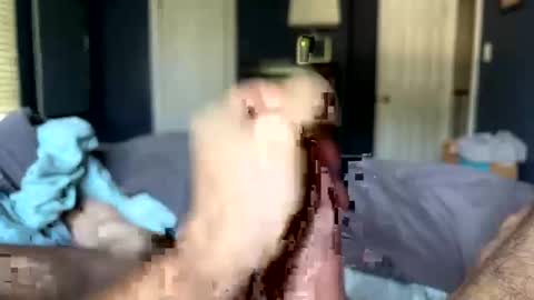 letmecumforyou71 online show from 20, 9, 2025