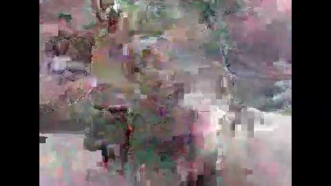 Snapshot of leweylewy chatting on 13, 11, 2025 leweylewy online show from 13, 11, 2025