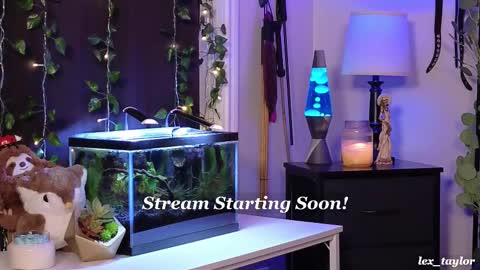 Snapshot of lex_taylor chatting on 21, 2, 2025 Lex online show from 21, 2, 2025