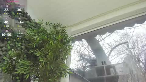 Snapshot of lexi_storm chatting on 8, 1, 2026 lexi_storm online show from 8, 1, 2026