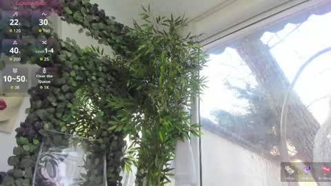 Snapshot of lexi_storm chatting on 12, 2, 2026 lexi_storm online show from 12, 2, 2026