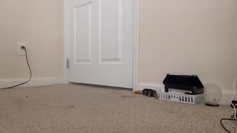 Alexia L. online show from 24, 2, 2026