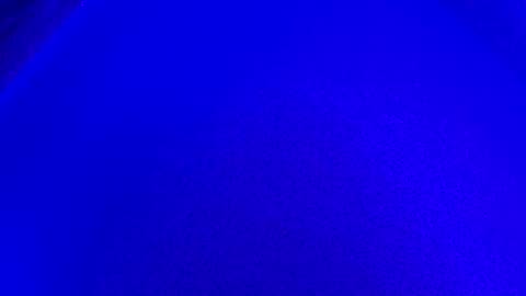 LickYourYoni online show from 6, 1, 2025