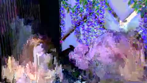 Snapshot of liinzy_rouse chatting on 3, 12, 2025 Brittany online show from 3, 12, 2025