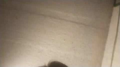 like2816 online show from 3, 2, 2025