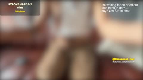 Snapshot of likeasnack chatting on 24, 2, 2026 likeasnack online show from 24, 2, 2026