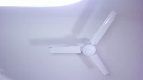 Snapshot of lilith_and_marcusblain chatting on 4, 1, 2025 Lili  Marcus online show from 4, 1, 2025