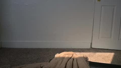 L online show from 4, 3, 2025