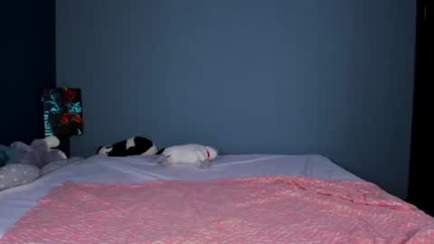 lillie_berry online show from 28, 6, 2026