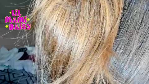 Snapshot of lilmamidaisy chatting on 16, 3, 2026 Daisy Bby online show from 16, 3, 2026