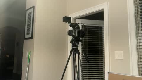Snapshot of lilnasty100 chatting on 3, 6, 2026 lilnasty100 online show from 3, 6, 2026