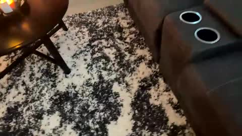 Ava online show from 26, 10, 2025