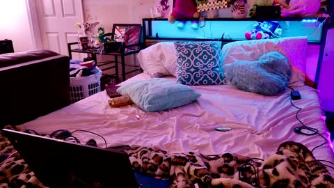 jasmine spunn online show from 25, 1, 2025