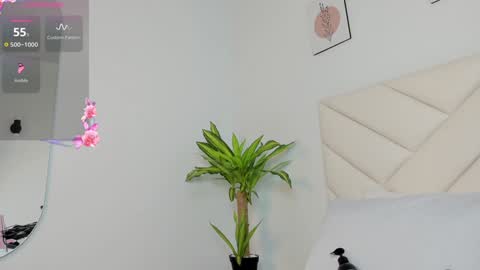 Snapshot of lily_evil chatting on 1, 12, 2024 online show from 1, 12, 2024