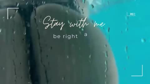 Lily online show from 9, 11, 2025