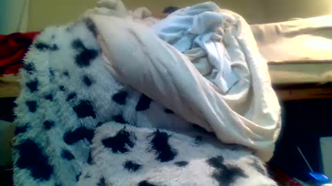 Richie Rich online show from 15, 1, 2025