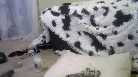 Richie Rich online show from 18, 2, 2025