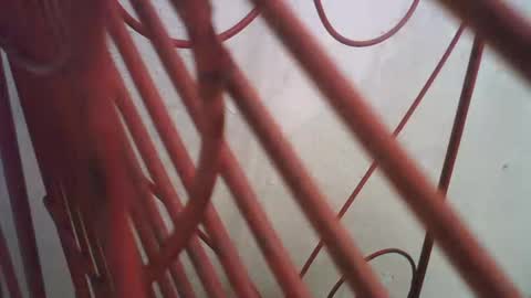 Richie Rich online show from 11, 10, 2025