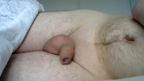 lion2662 online show from 3, 1, 2025