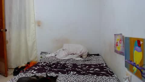 lion_grr online show from 16, 12, 2025