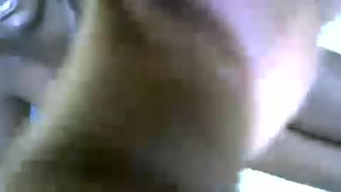 lioness online show from 27, 6, 2026