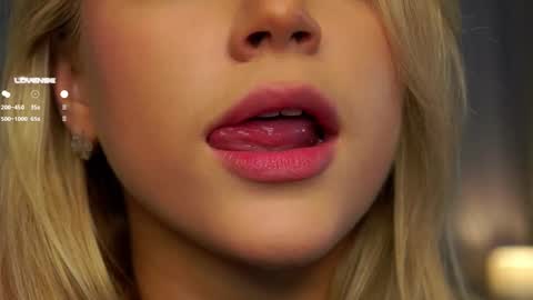 Snapshot of lipswithsmileonthem chatting on 27, 2, 2025 Amelia online show from 27, 2, 2025