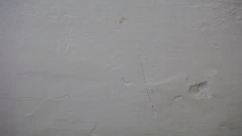 lisa_branch online show from 6, 10, 2025