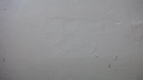 lisa_branch online show from 13, 10, 2025