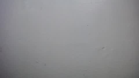 lisa_branch online show from 18, 10, 2025