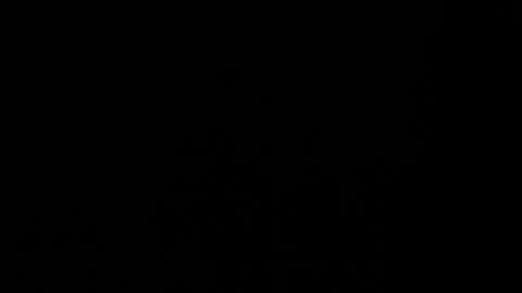 Independent model carolina online show from 2, 3, 2025