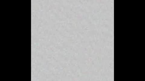 Adaline online show from 9, 2, 2026