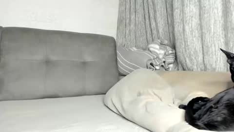 my Instagram  online show from 21, 2, 2026