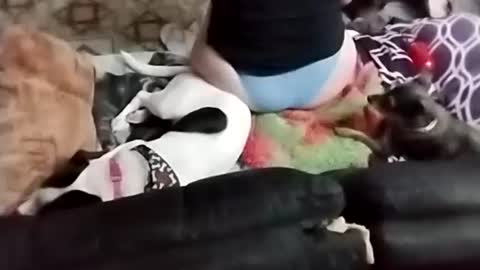 Sady Jayne online show from 22, 9, 2025