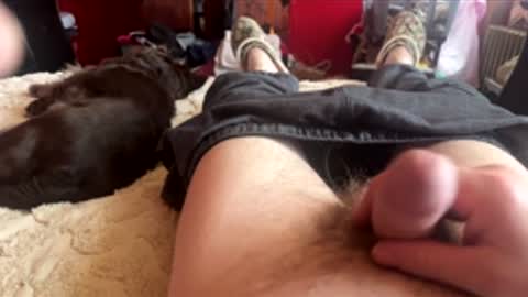 Snapshot of littletj324312 chatting on 24, 2, 2026 Little Tj online show from 24, 2, 2026