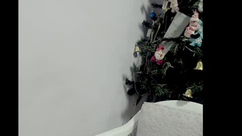 lizz1305 online show from 26, 12, 2024