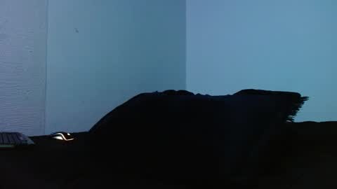 lliamm 2 online show from 27, 9, 2025