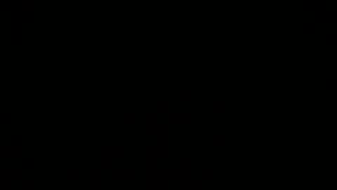 lodovicense1984 online show from 2, 3, 2026